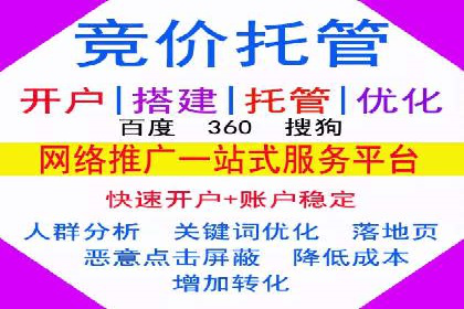 关键词竞价排名实战案例精选解析